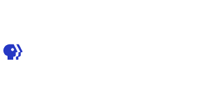 PBS Digital Studios logo